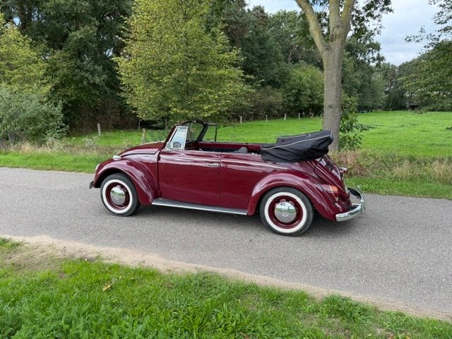 Volkswagen Kever Cabriolet 1600 Bouwjaar 1967, foto 4