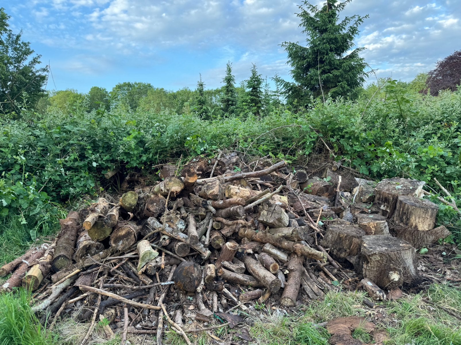 Grote partij gedroogd haardhout, Tuin en Terras, Haardhout, Minder dan 3 m³, Ophalen