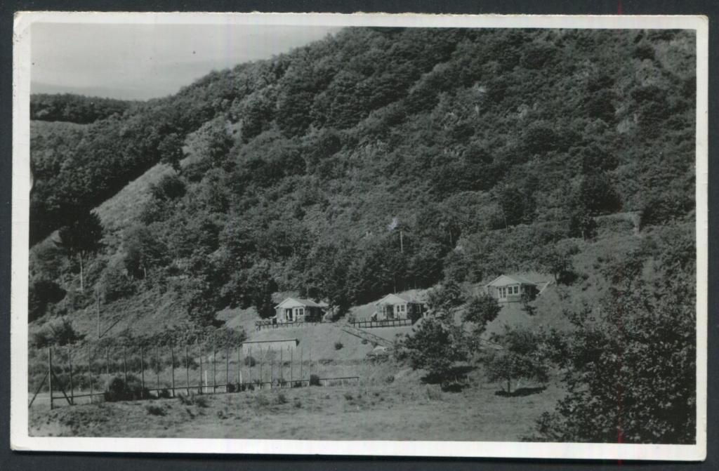 * Vianden , Les Chalets "Brassinne & Co " 27-8-1956 *, Ophalen of Verzenden, 1940 tot 1960, Gelopen, Overig Europa