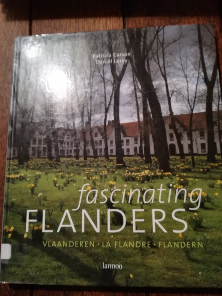 fascinerend VLAANDEREN in 4 talen Patricia Carson, Boeken, Ophalen of Verzenden, Gelezen