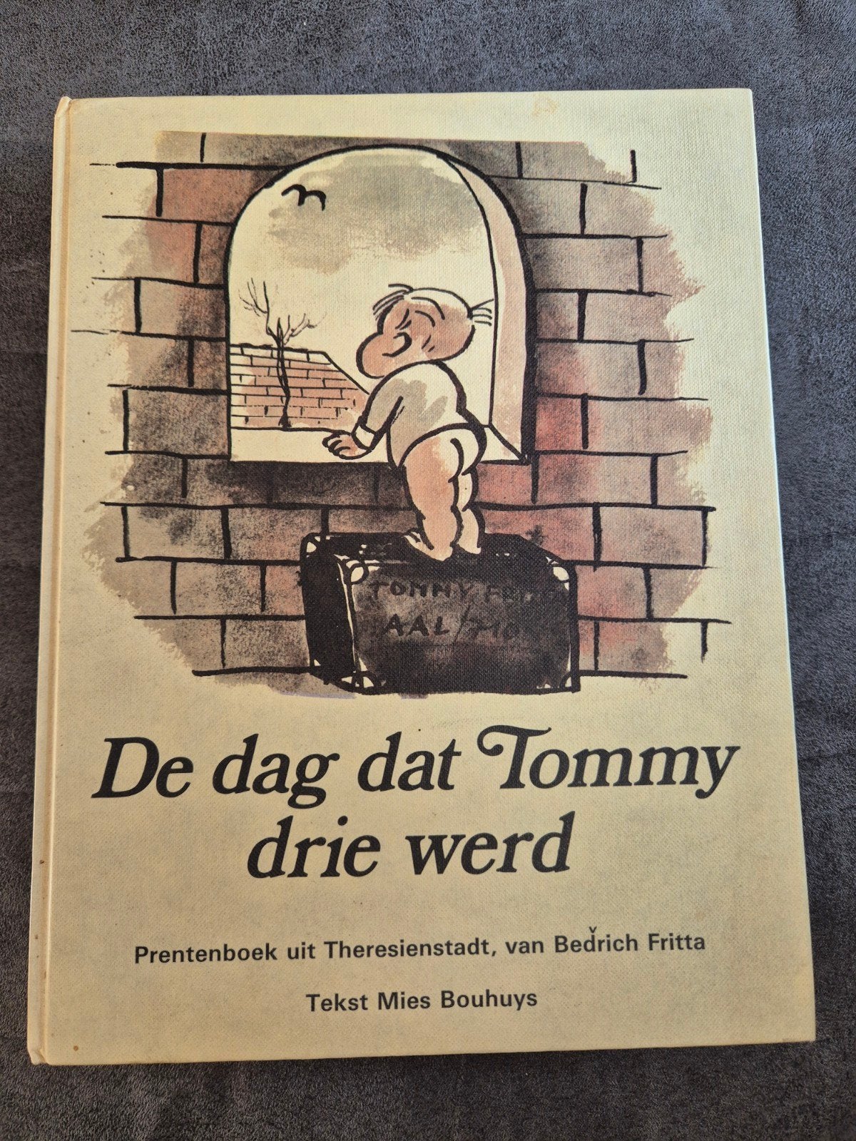 De dag dat Tommy drie werd - Prentenboek Theresienstadt, Boeken, Ophalen of Verzenden, Gelezen, Bedrich Fritta, Prentenboek