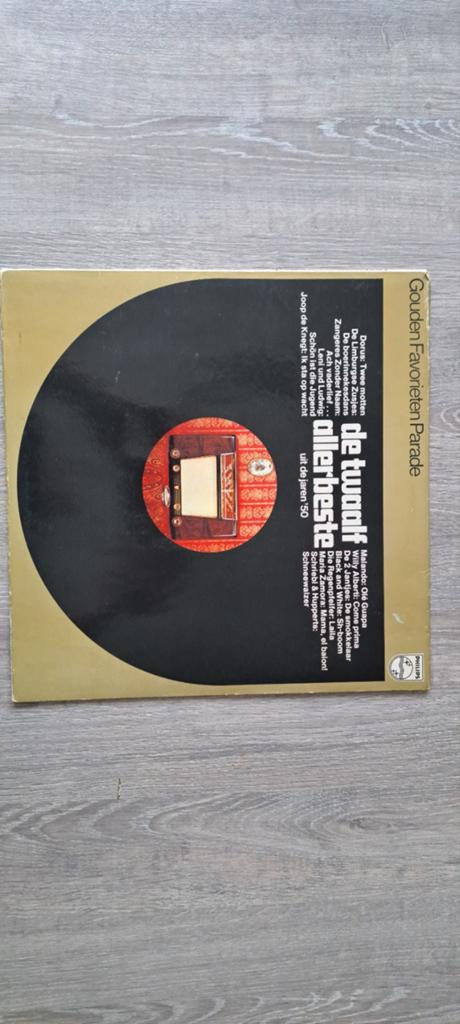 De Twaalf Allerbeste uit de jaren '50 - Gouden Favorieten, Cd's en Dvd's, Ophalen of Verzenden, Gebruikt, 12 inch