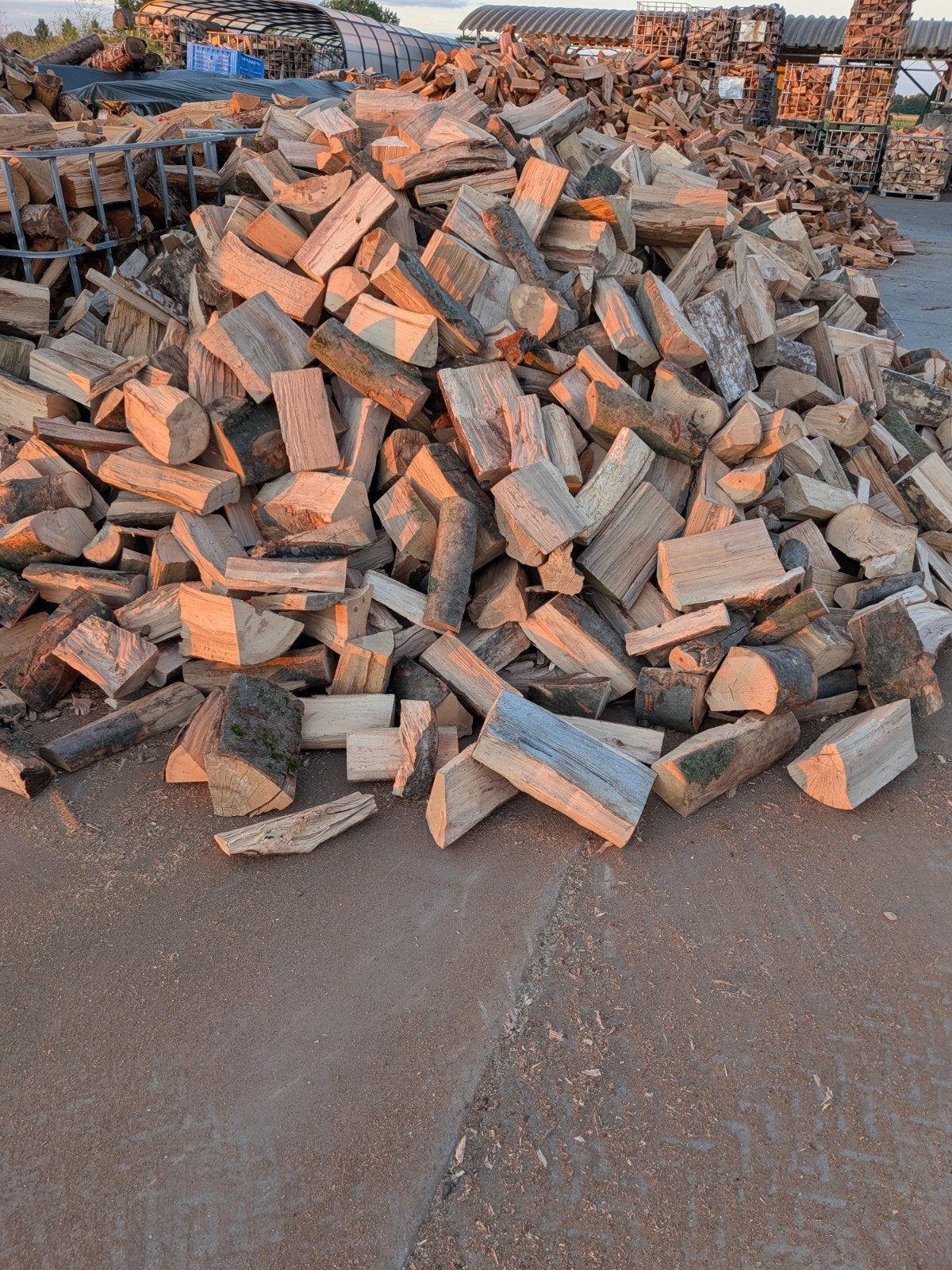 BEUKENHOUT AANKOMENDE WINTER STOOKBAAR €125 PER KUUB OPHALEN, Minder dan 3 m³, Ophalen, Beukenhout, Blokken