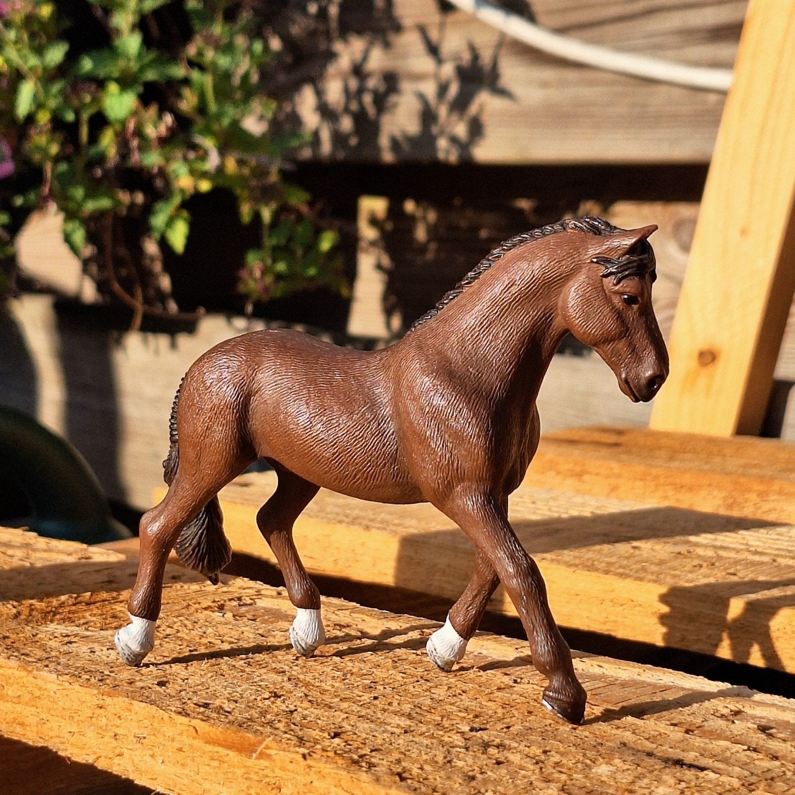 Schleich Trakehner ruin (modelnummer 13909), Ophalen of Verzenden, Nieuw, Paard, Beeldje of Figuurtje