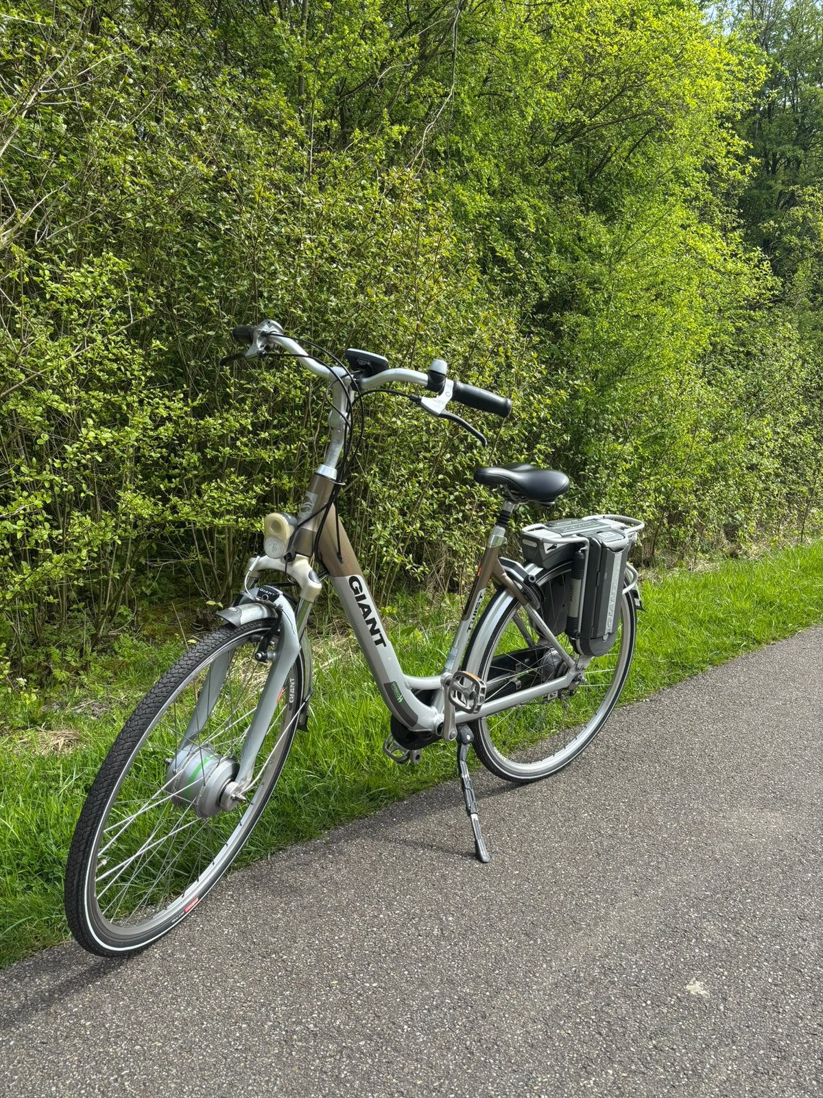 Elektrische Giant Twist Double Hybrid, 47 tot 51 cm, Ophalen of Verzenden, Zo goed als nieuw, Overige merken