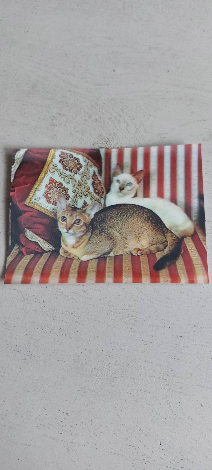 Vintage 3D Ansichtkaart met Twee Katten, Ophalen of Verzenden, 1960 tot 1980, Ongelopen, Overige thema's
