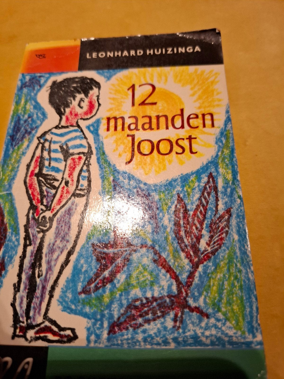 12 maanden Joost - Leonhard Huizinga (Pocketsalamander), Ophalen of Verzenden, Gelezen, Leonhard Huizinga