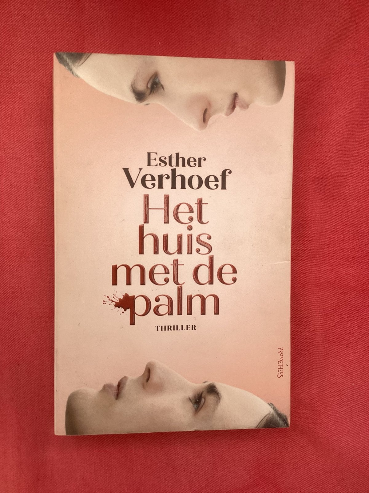 Esther Verhoef - Het huis met de palm, Ophalen of Verzenden, Gelezen, Esther Verhoef
