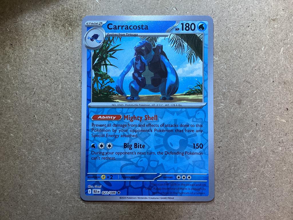 1x Carracosta [BLK 023/086] (Near Mint, Reverse Holo), Ophalen of Verzenden, Zo goed als nieuw, Losse kaart, Foil
