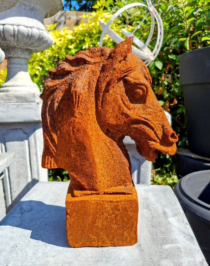 Prachtig gietijzeren paardenhoofd van 26 cm hoog., Ophalen of Verzenden, Nieuw, Metaal, Dierenbeeld