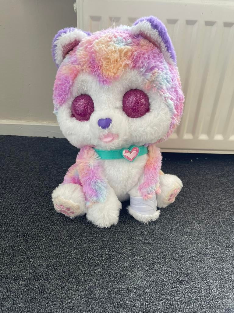 Vtech rainbow knuffel hond, Ophalen of Verzenden, Zo goed als nieuw, Hond