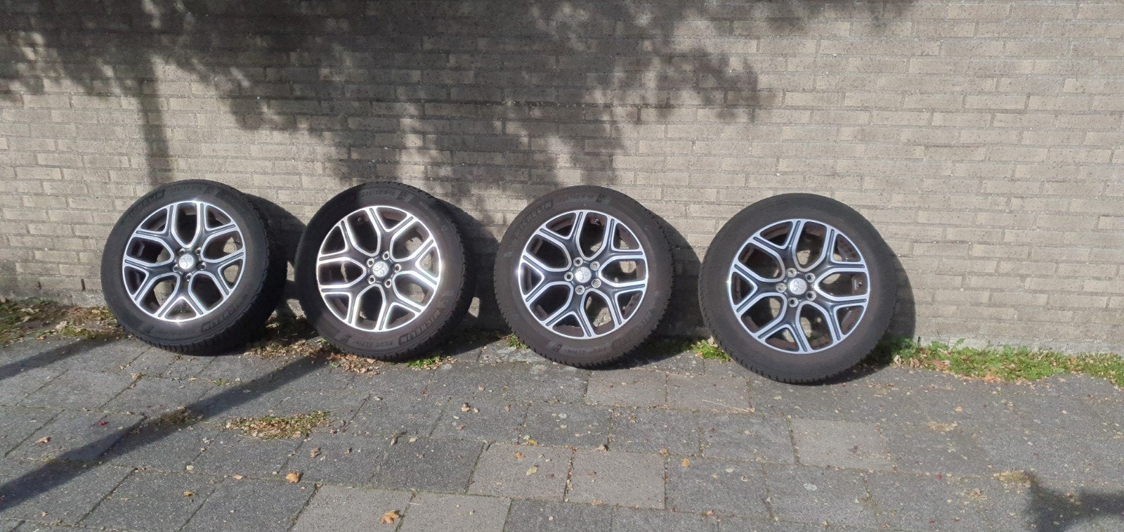 Velgen en Michelin Pilot Alpin 5 winterbanden (4,9-5,5 mm), Ophalen, 18 inch, Gebruikt, Banden en Velgen