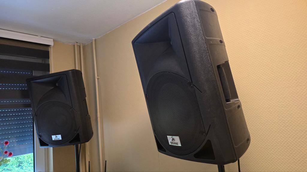 Devine Artis 12 PA Speakers met statieven, Audio, Tv en Foto, Luidsprekers, Overige merken, Ophalen of Verzenden, Zo goed als nieuw