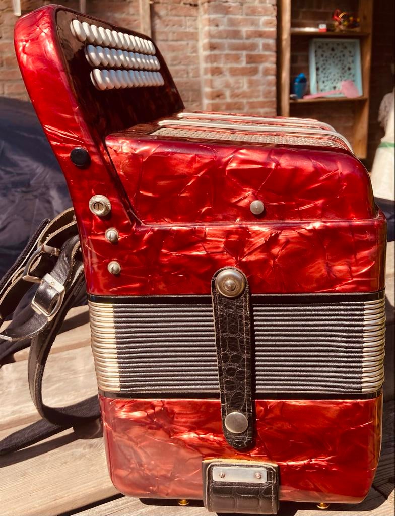 Delicia - Trekzak - Trek Harmonika - GCF - Goede Staat, Gebruikt, Met riemen, Overige formaten, Knopaccordeon