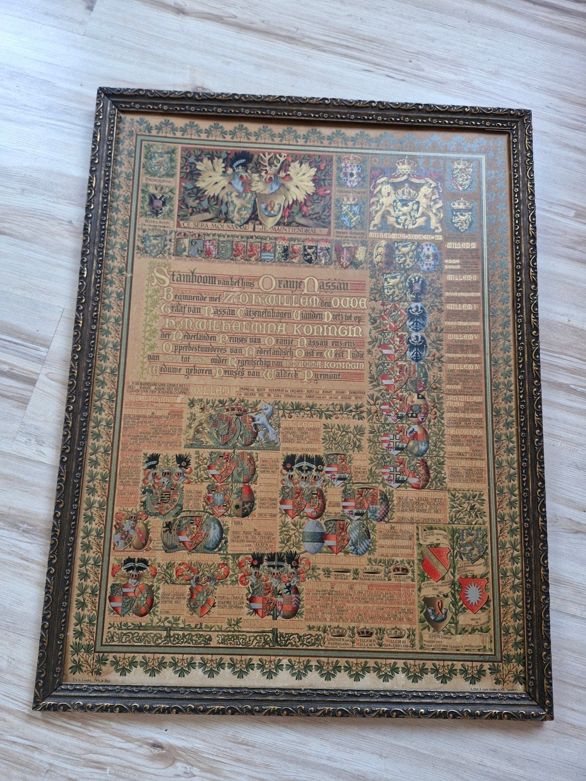 Stamboom Oranje-Nassau in prachtige lijst, Antiek en Kunst, Kunst | Schilderijen | Klassiek, Ophalen of Verzenden, Klassiek, Overige onderwerpen
