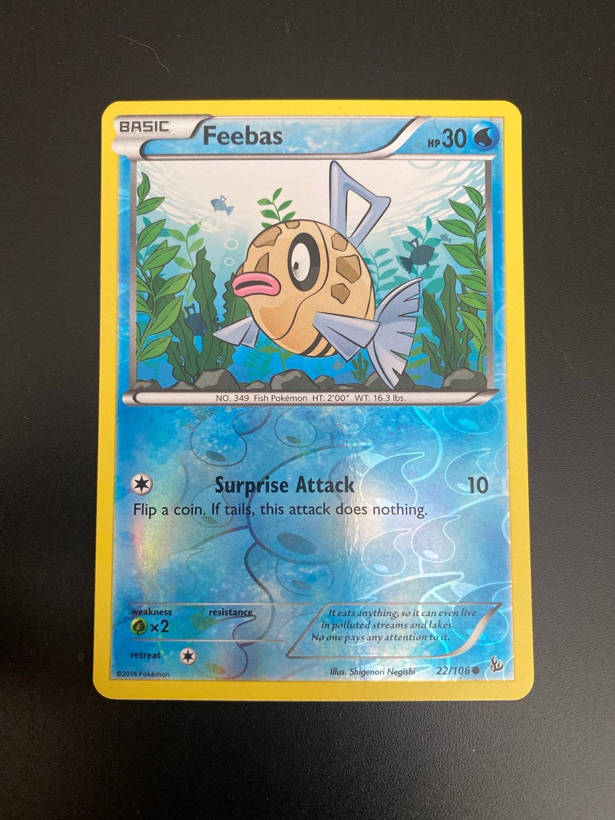 Feebas 22/106 Rev. Holo XY Flashfire (2014) NM!, Ophalen of Verzenden, Zo goed als nieuw, Losse kaart, Foil