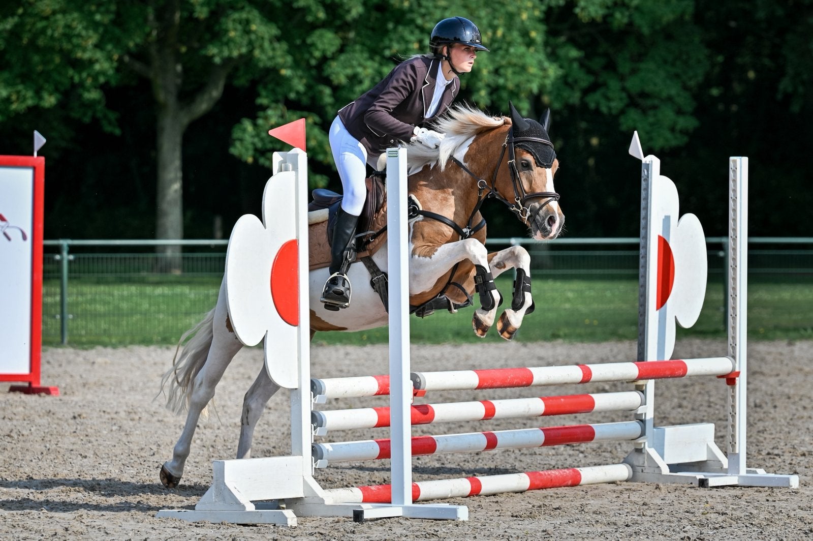 Betrouwbare beginnerspony’s , sportpony’s & Familiepony’s, Dieren en Toebehoren, Pony's, Ruin, 3 tot 6 jaar, B pony (1.17m tot 1.27m)