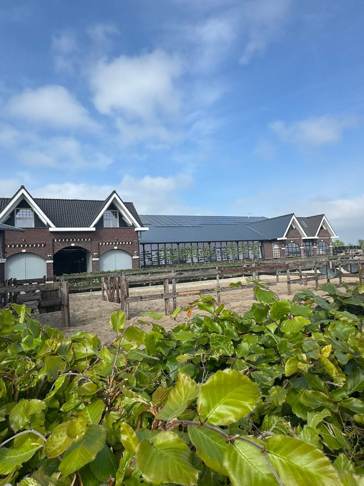 Boxen in eigen beheer op onze LUXE STAL 🤩, Dieren en Toebehoren, Stalling en Weidegang, Stalling, 2 of 3 paarden of pony's