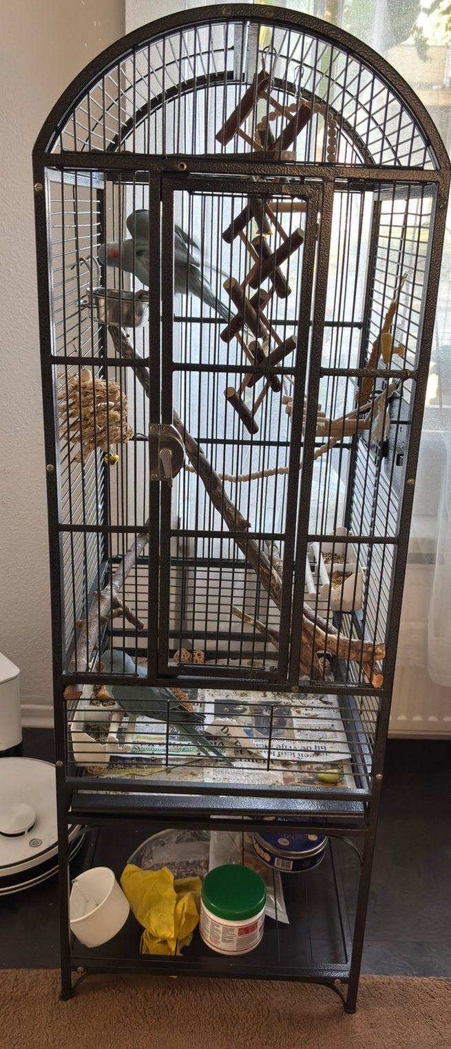 Papegaaien kooi, Ophalen, Zo goed als nieuw, Metaal, Vogelkooi