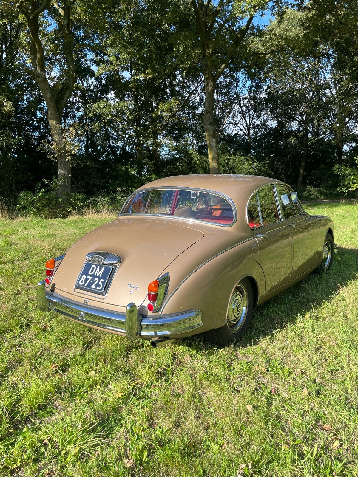 Daimler Saloon 2.5 L V8 AUT 1965 Bruin, foto 2