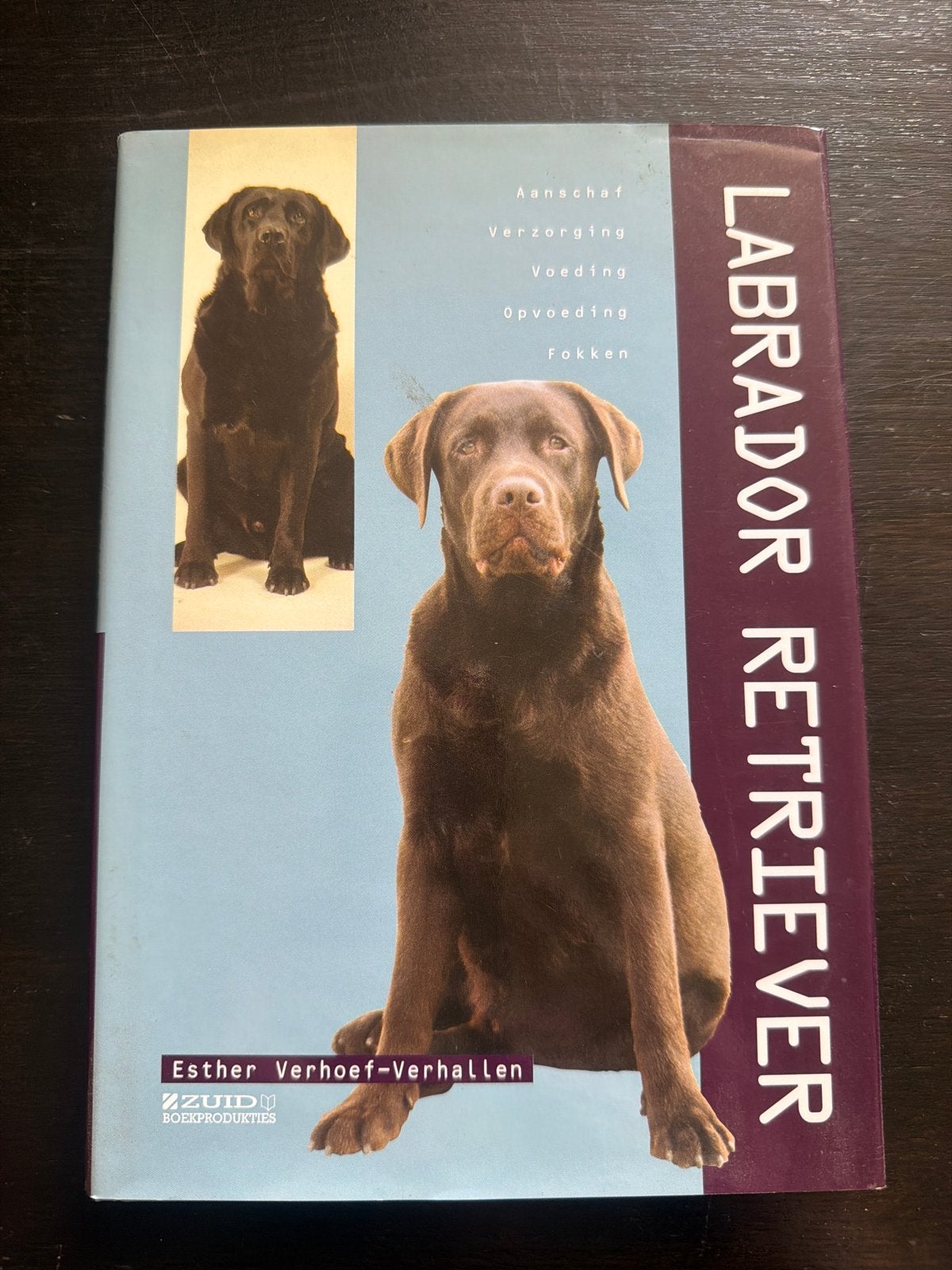 Labrador Retriever: Aanschaf, Verzorging, Voeding, Opvoeding, Ophalen of Verzenden, Gelezen, Honden