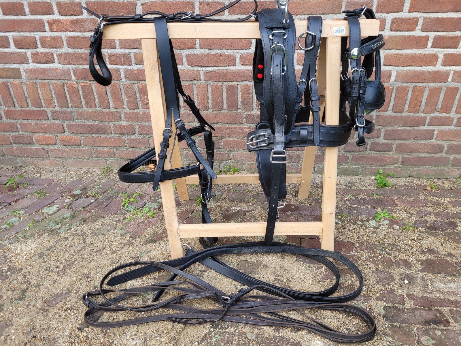 mentuig enkelspan mini shetlander, Ophalen of Verzenden, Zwart, Mentuig, Shetlander