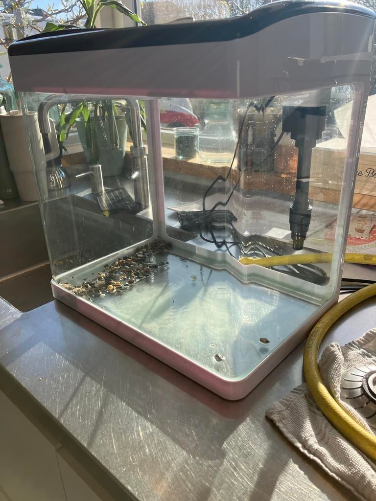 Aquarium + vis, Dieren en Toebehoren, Ophalen, Inclusief vissen, Zo goed als nieuw, Gevuld zoetwateraquarium