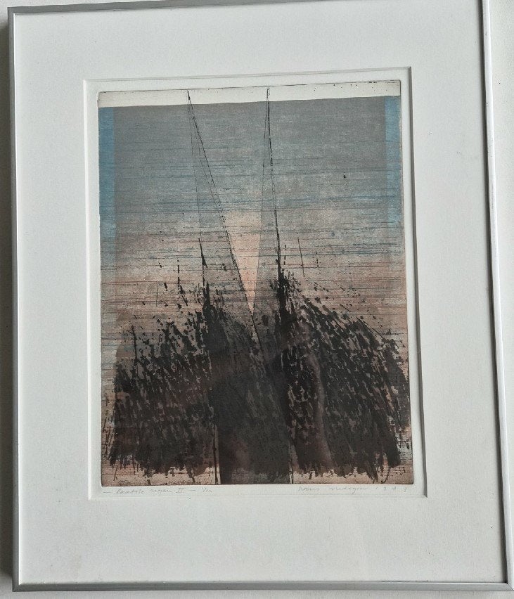 kleurenets Hans Vredegoor "laatste regen II", Antiek en Kunst, Ophalen of Verzenden, Ets, Genummerd, 1950 - 1999