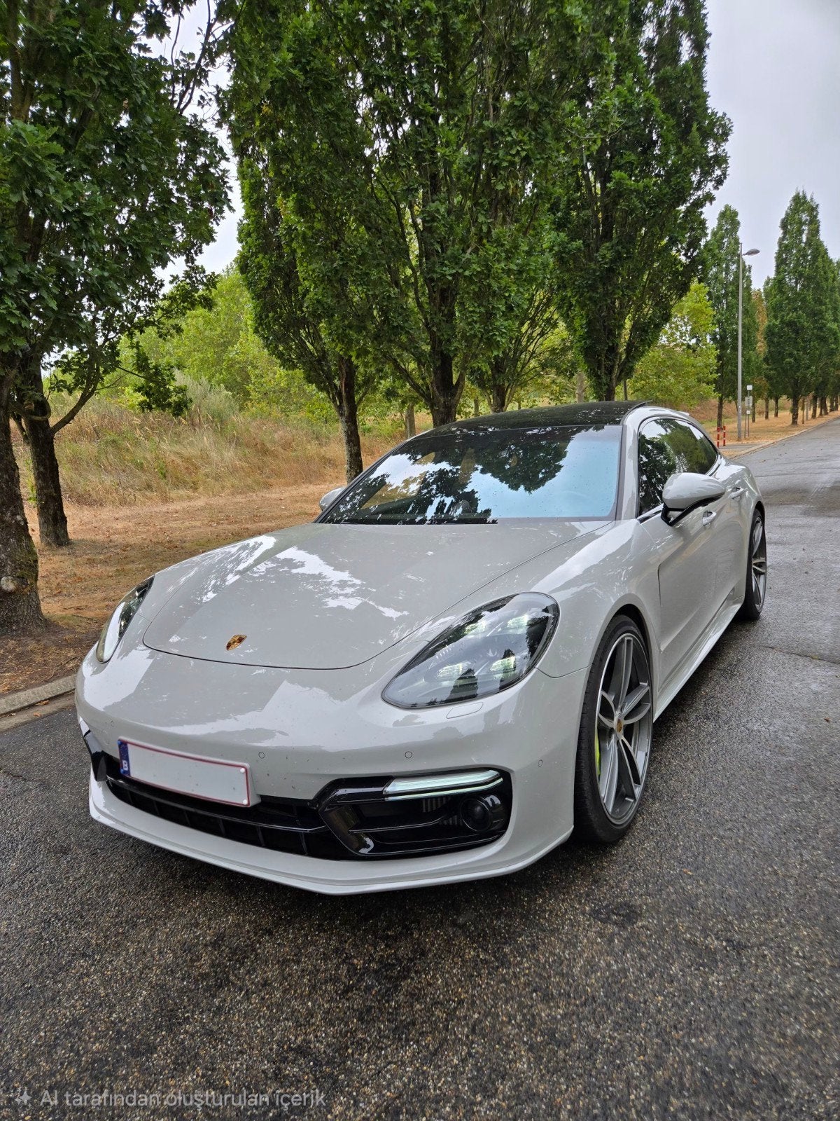 Porsche Panamera Turbo S E-Hybrid 2018, Auto's, Automaat, Dealer onderhouden, Overige kleuren, Leder
