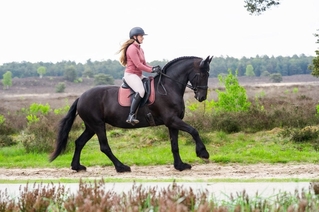 Lieve 10 jarige friese merrie, Merrie, Met stamboom, M, Dressuurpaard