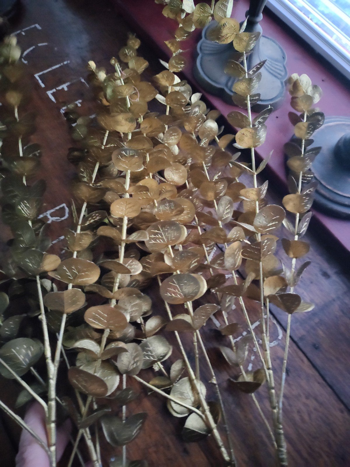 Eucalyptus takken, Lang 75 cm, Ophalen of Verzenden
