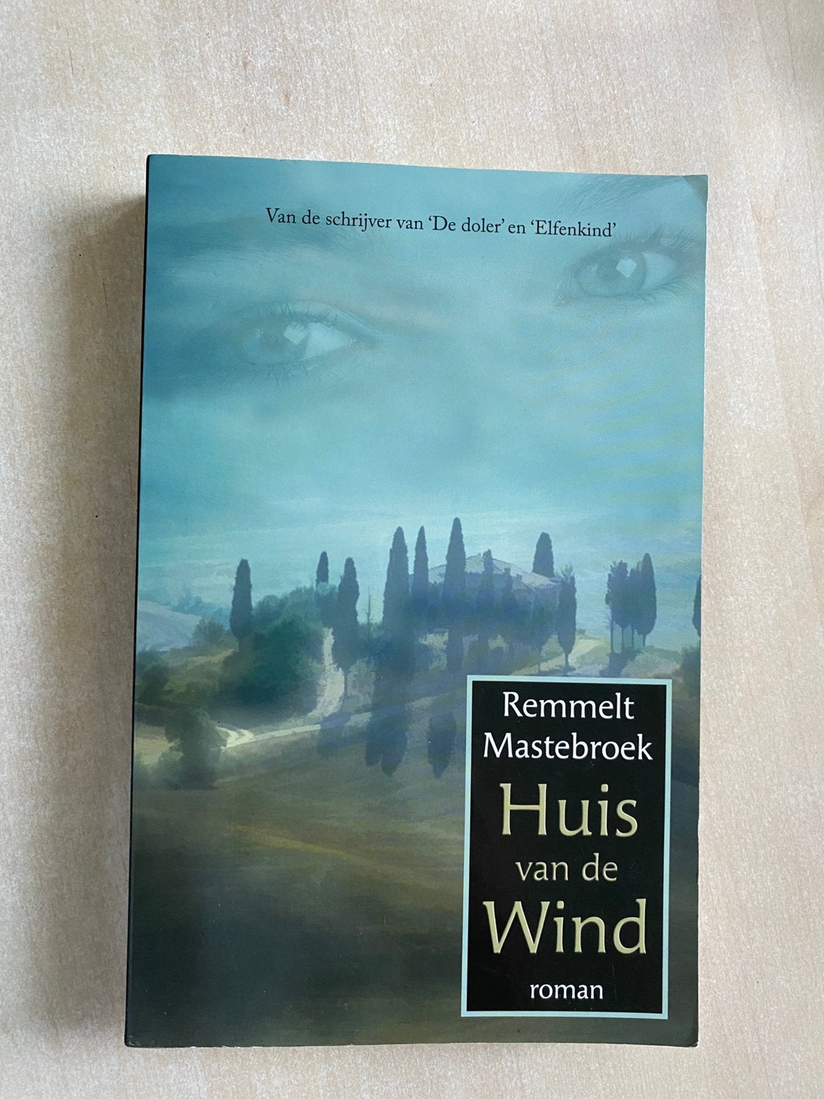 Huis van de wind (Remmelt Mastebroek), Verzenden, Zo goed als nieuw
