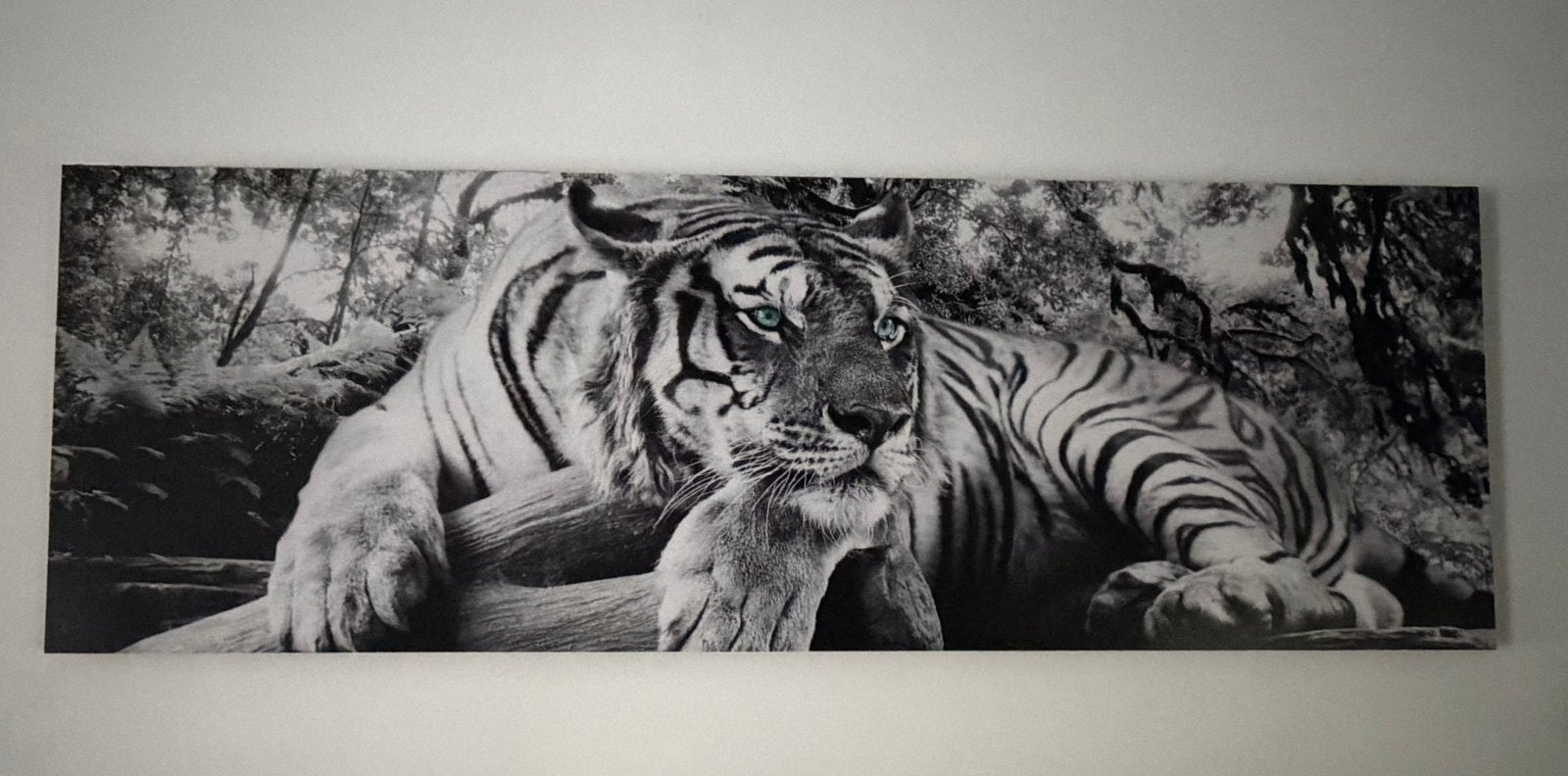 Schilderij tijger zwart wit, Ophalen