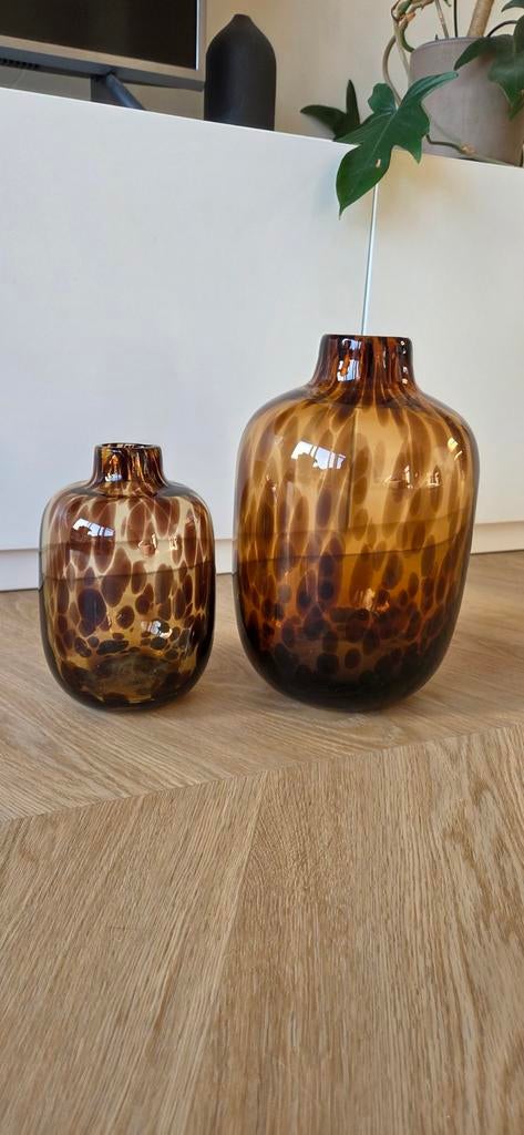 Vazenset, Huis en Inrichting, Woonaccessoires | Vazen, Ophalen of Verzenden, Overige kleuren, Glas, Minder dan 50 cm