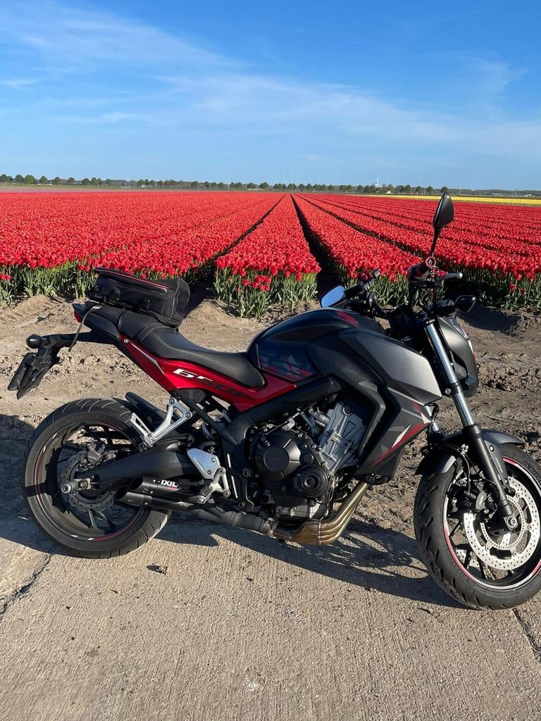Honda CB650F - Ixil uitlaat - zomer ready!!, Motoren, Motoren | Honda, Sportuitlaat, 4 cilinders, Gebruikt, Particulier
