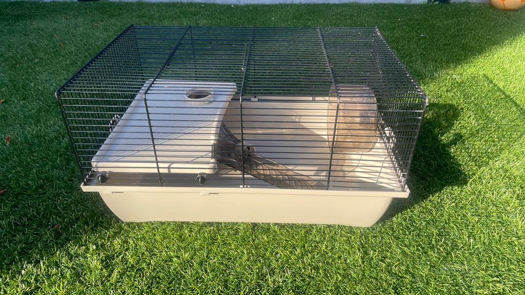 Hamsterkooi, Minder dan 60 cm, Kooi, Minder dan 75 cm, Ophalen of Verzenden