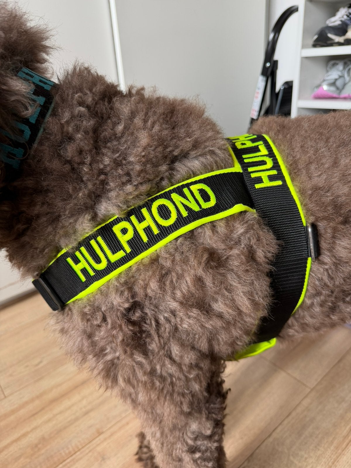 Hulphond tuig, Ophalen of Verzenden, Zo goed als nieuw