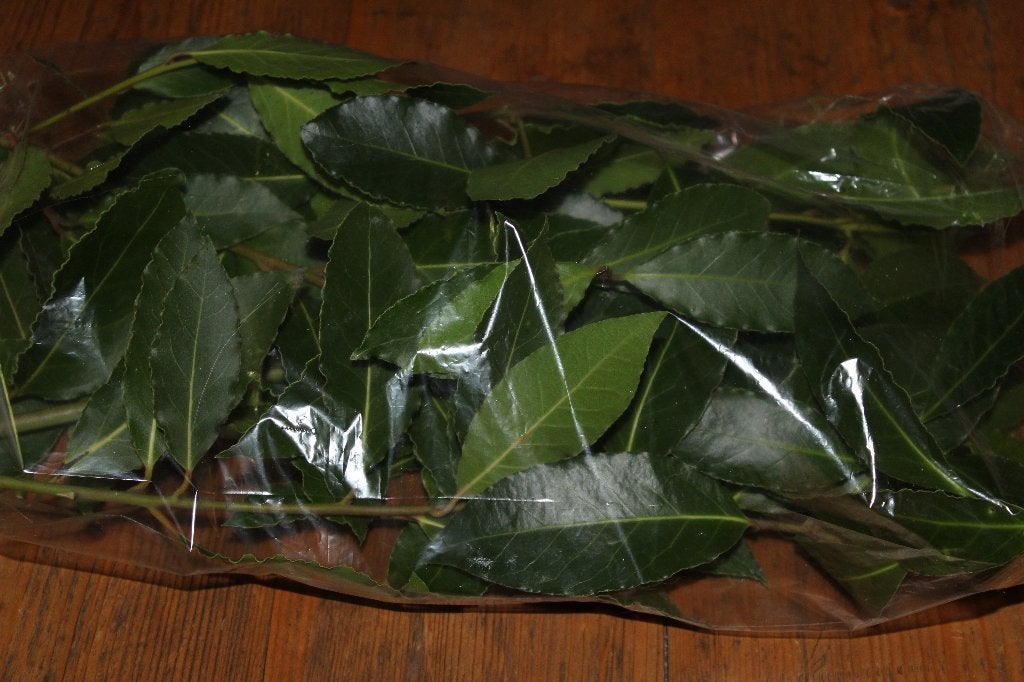 Laurierblad, vers geplukt, biologisch, Ophalen, Volle zon