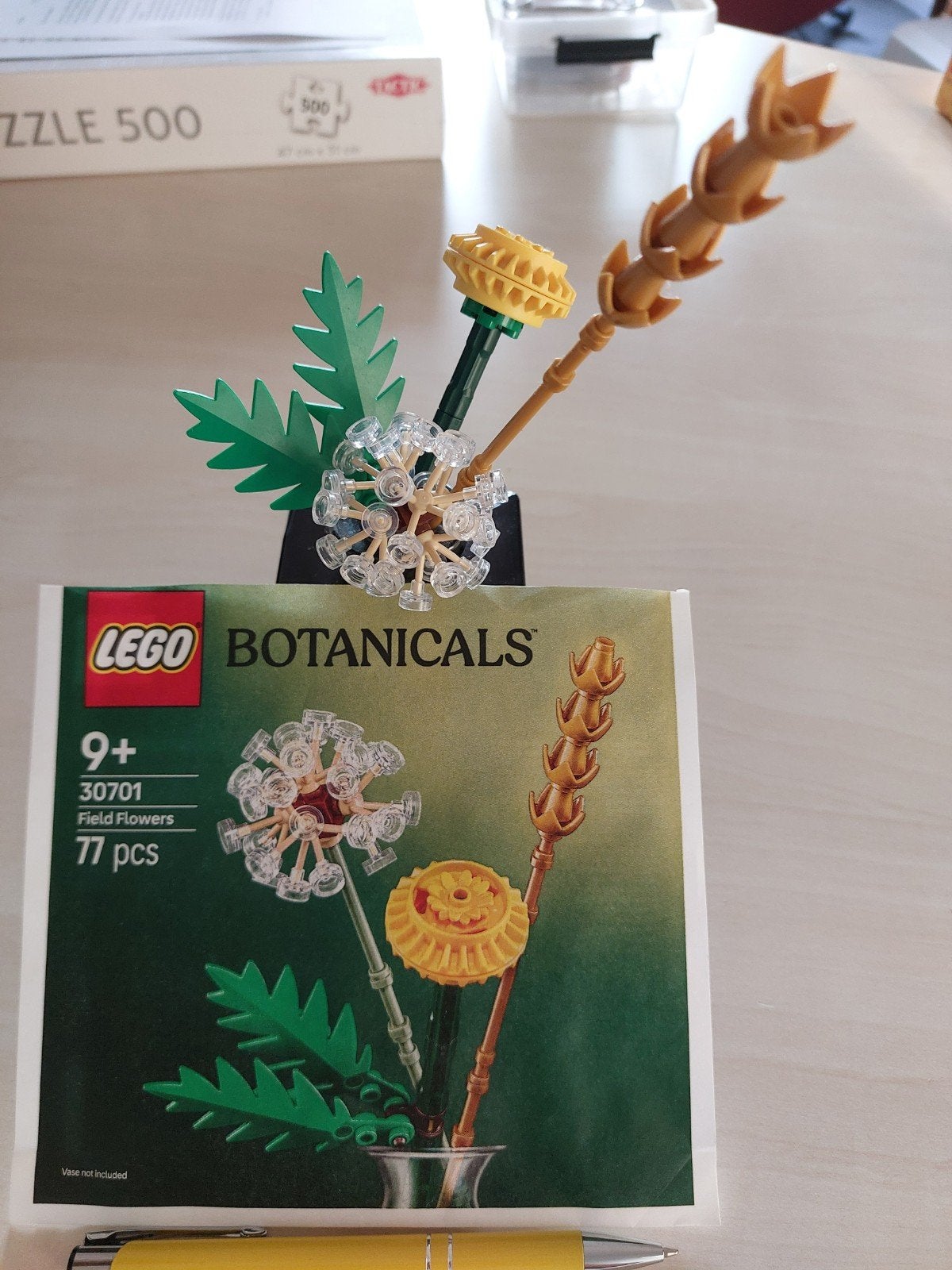 LEGO Botanicals 30701 Veld bloemen, Ophalen of Verzenden, Zo goed als nieuw, Overige merken