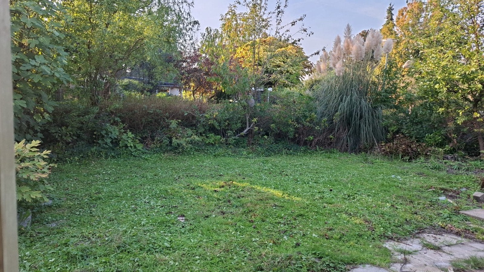 Volkstuin Tuinhuis  Hoogvliet Rotterdam Elftplaat, Tuinhuis, 250 tot 500 cm, Ophalen of Verzenden, 2 ramen