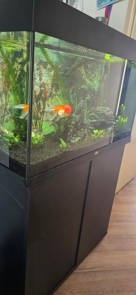 Juwel aquarium, Ophalen