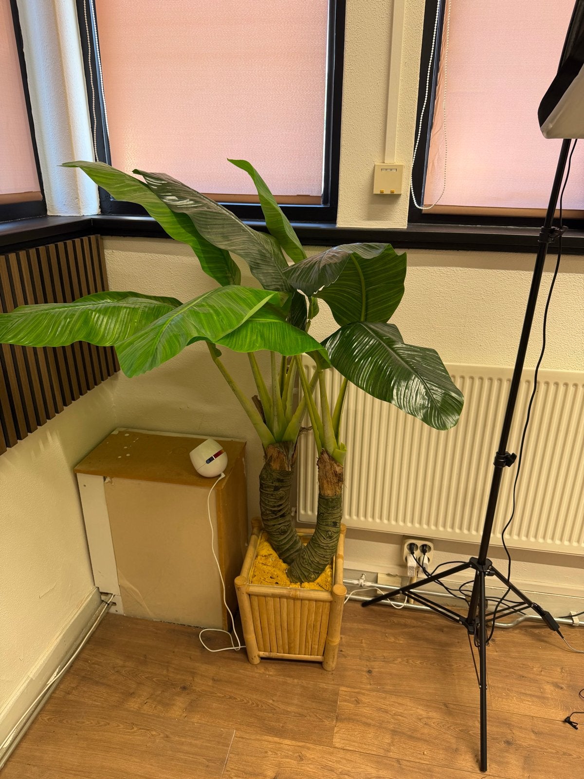 Grote kunstplant in bamboe pot - perfect voor elk interieur, Ophalen, Binnen, Groen, Kunstplant