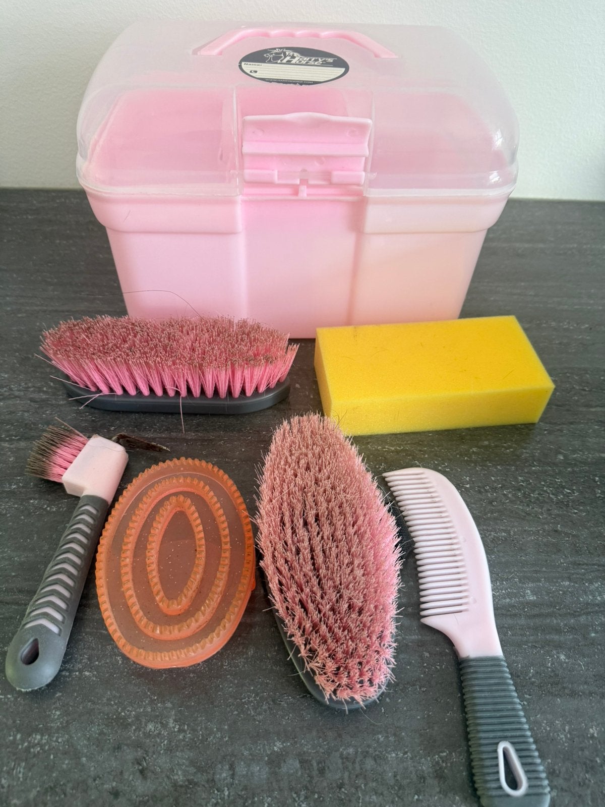 Paarden verzorging kind gratis, Ophalen, Gebruikt