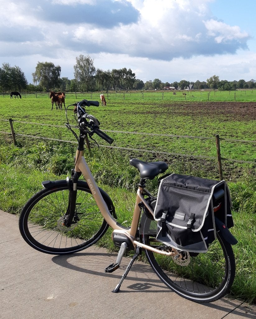 Foto 3 van Elektrische fiets met automatische versnelling, als nieuw.
