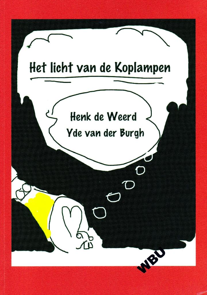 Het Licht van de Koplampen - H. v.d. Weerd / 9789080920798, Maatschappij en Samenleving, Ophalen of Verzenden, Zo goed als nieuw