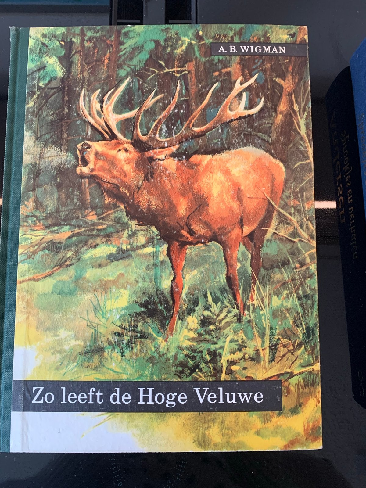 Zo leeft de Hoge Veluwe - A.B. Wigman, Boeken, Ophalen of Verzenden, Zo goed als nieuw, Natuur algemeen