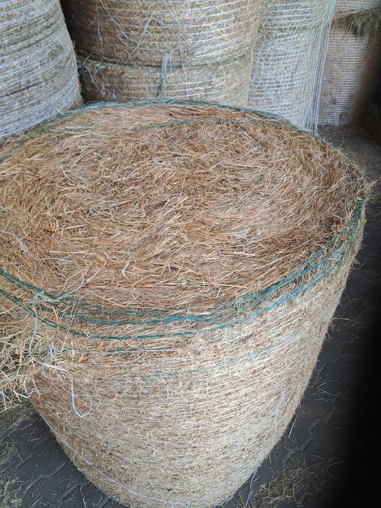 Hooibalen goede  kwaliteit voor paarden a en b keus, Ophalen of Verzenden