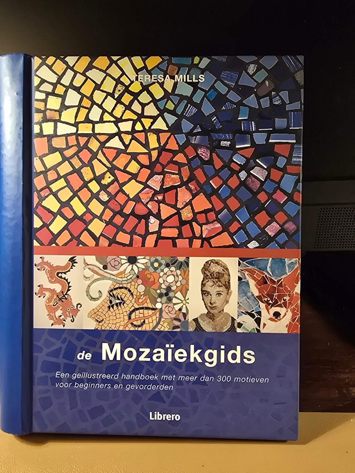 De Mozaïekgids: Meer dan 300 motieven voor beginners, Boeken, Teresa Mills, Ophalen of Verzenden, Zo goed als nieuw, Overige onderwerpen