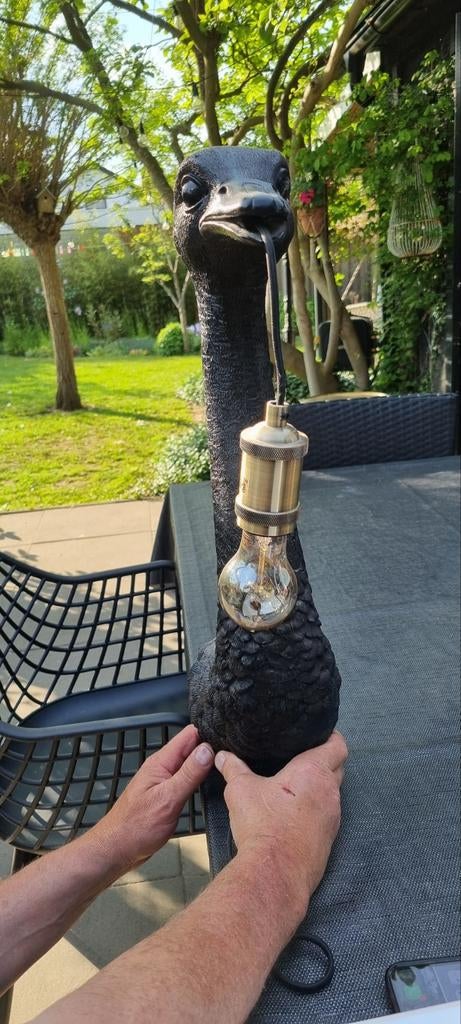 Struisvogel lamp zwart, Ophalen of Verzenden