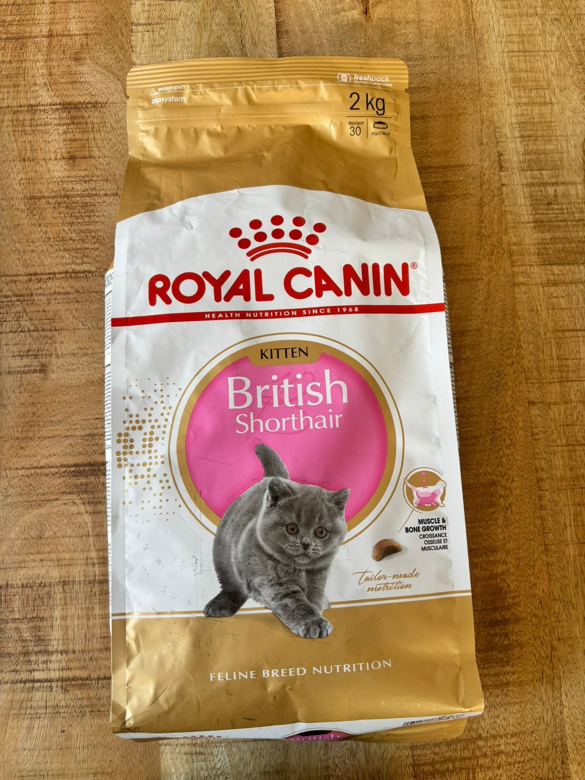 Britse korthaar kitten brokken, Ophalen of Verzenden, Kat